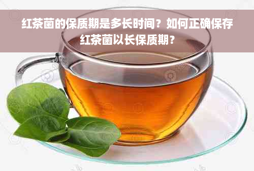 红茶菌的保质期是多长时间？如何正确保存红茶菌以长保质期？