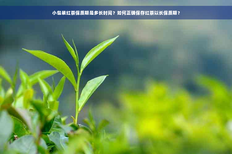 小包装红茶保质期是多长时间？如何正确保存红茶以长保质期？