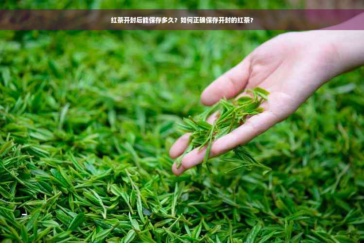 红茶开封后能保存多久？如何正确保存开封的红茶？