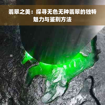 翡翠之美：探寻无色无种翡翠的独特魅力与鉴别方法