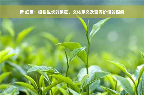 新 红芽：植物生长的象征，文化意义及营养价值的探索