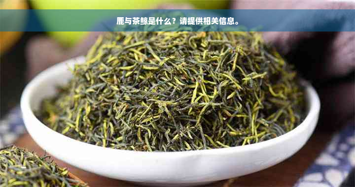 鹿与茶鲸是什么？请提供相关信息。