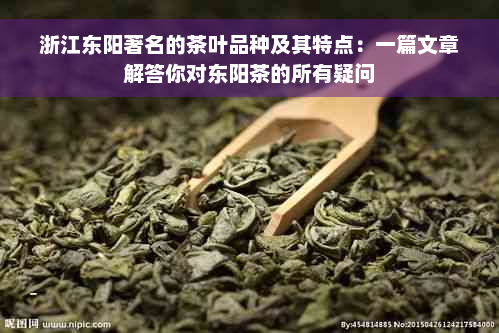 浙江东阳著名的茶叶品种及其特点：一篇文章解答你对东阳茶的所有疑问