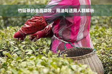 竹筒茶的全面功效、用法与适用人群解析