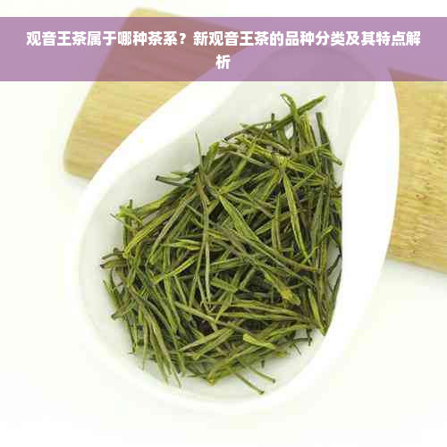 观音王茶属于哪种茶系？新观音王茶的品种分类及其特点解析