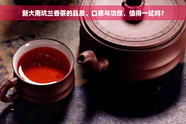 新大南坑兰香茶的品质、口感与功效，值得一试吗？