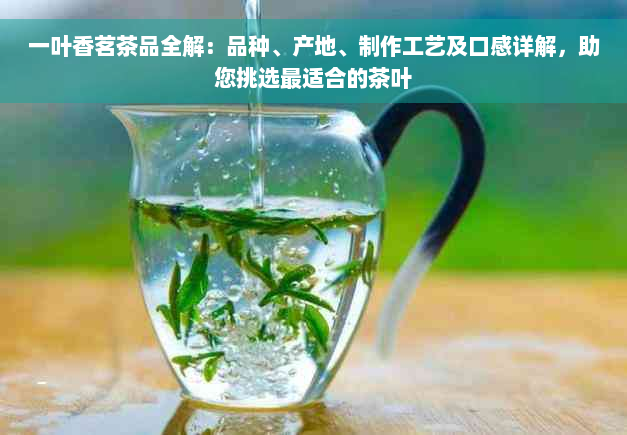 一叶香茗茶品全解：品种、产地、制作工艺及口感详解，助您挑选最适合的茶叶