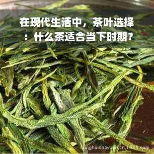 在现代生活中，茶叶选择：什么茶适合当下时期？