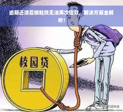 逾期还清后微粒贷无法再次借款，解决方案全解析！