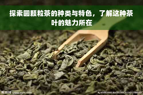 探索圆颗粒茶的种类与特色，了解这种茶叶的魅力所在