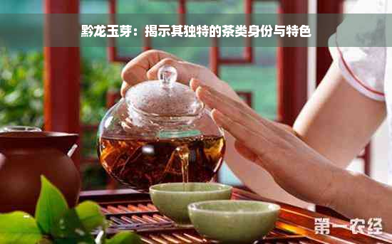 黔龙玉芽：揭示其独特的茶类身份与特色