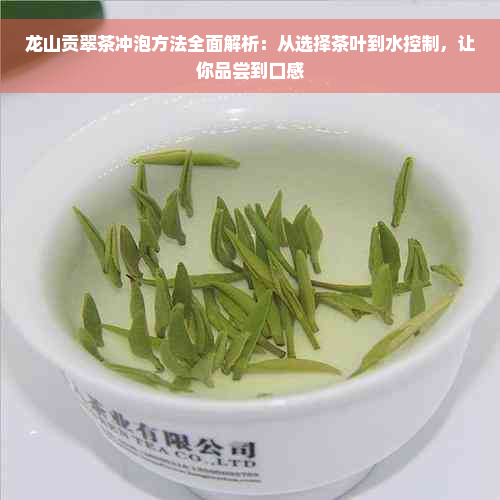 龙山贡翠茶冲泡方法全面解析：从选择茶叶到水控制，让你品尝到口感