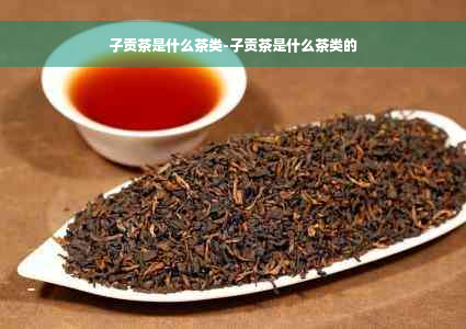 子贡茶是什么茶类-子贡茶是什么茶类的