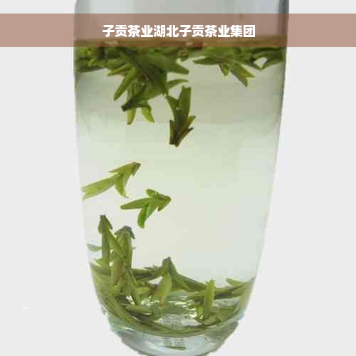 子贡茶业湖北子贡茶业集团