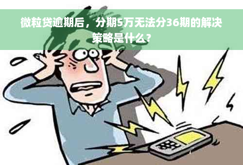 微粒贷逾期后，分期5万无法分36期的解决策略是什么？