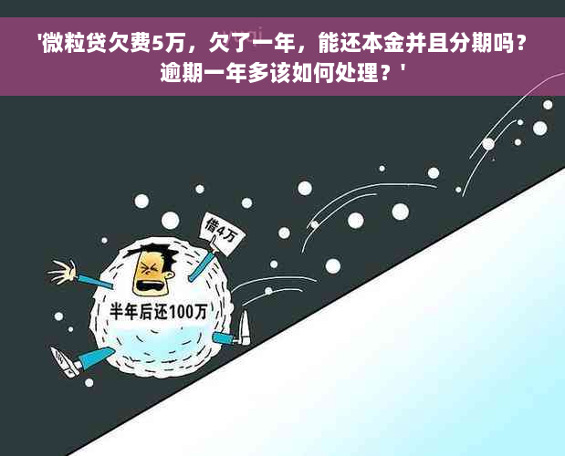 '微粒贷欠费5万，欠了一年，能还本金并且分期吗？逾期一年多该如何处理？'