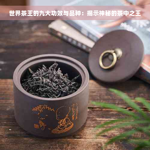 世界茶王的九大功效与品种：揭示神秘的茶中之王