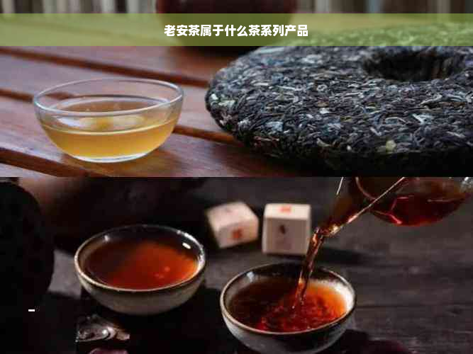 老安茶属于什么茶系列产品