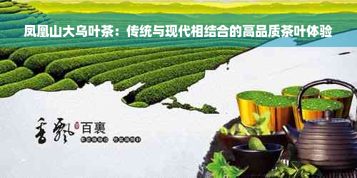 凤凰山大乌叶茶：传统与现代相结合的高品质茶叶体验