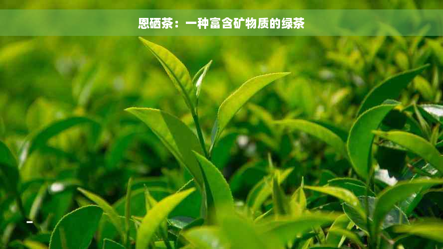 恩硒茶：一种富含矿物质的绿茶