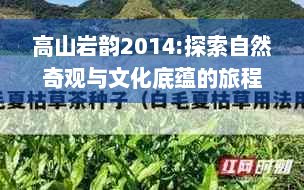 高山岩韵2014:探索自然奇观与文化底蕴的旅程