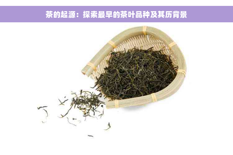 茶的起源：探索最早的茶叶品种及其历背景