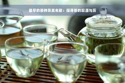 最早的茶种及其名称：探寻茶的起源与历