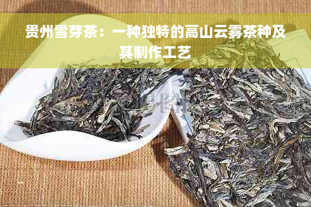 贵州雪芽茶：一种独特的高山云雾茶种及其制作工艺