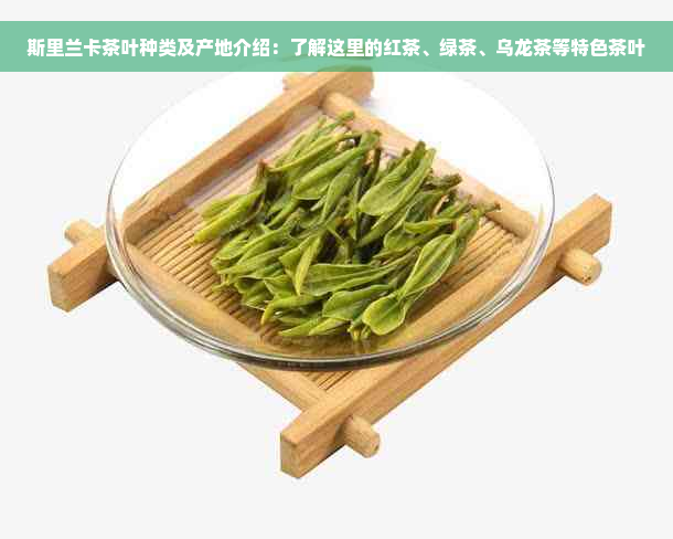 斯里兰卡茶叶种类及产地介绍：了解这里的红茶、绿茶、乌龙茶等特色茶叶