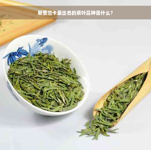 斯里兰卡最出名的茶叶品种是什么？