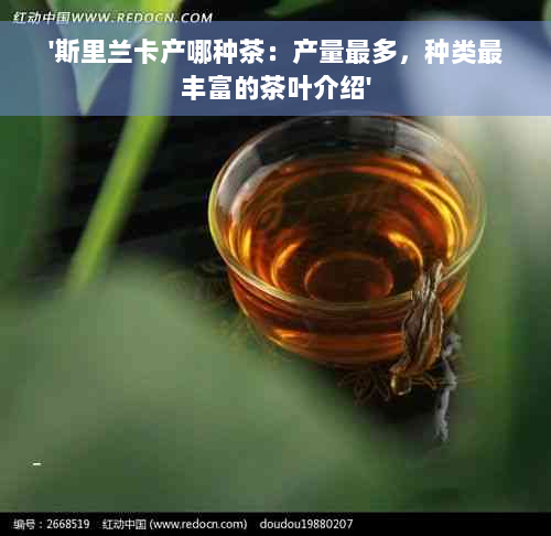 '斯里兰卡产哪种茶：产量最多，种类最丰富的茶叶介绍'