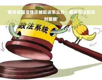 '网贷逾期没钱还被起诉怎么办：解决办法和应对策略'