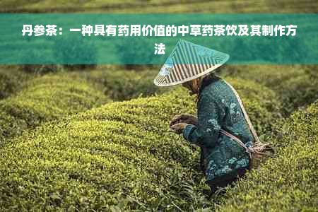 丹参茶：一种具有药用价值的中草药茶饮及其制作方法