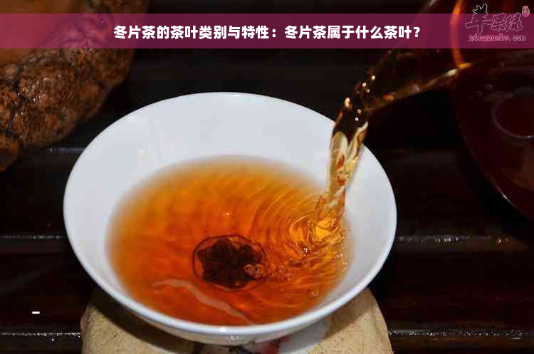 冬片茶的茶叶类别与特性：冬片茶属于什么茶叶？