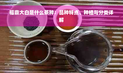 福鼎大白是什么茶种：品种特点、种植与分类详解