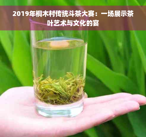 2019年桐木村传统斗茶大赛：一场展示茶叶艺术与文化的宴