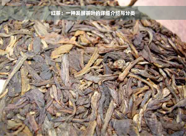 红茶：一种发酵茶叶的详细介绍与分类