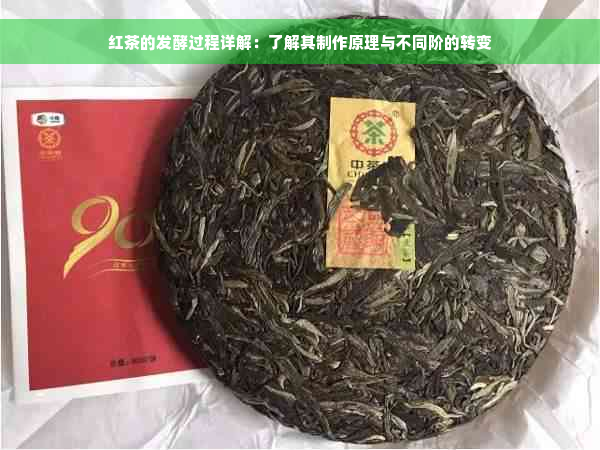 红茶的发酵过程详解：了解其制作原理与不同阶的转变