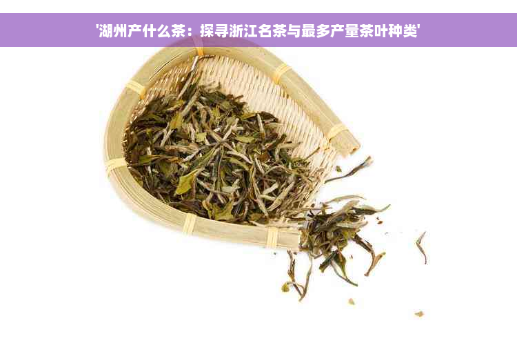 '湖州产什么茶：探寻浙江名茶与最多产量茶叶种类'