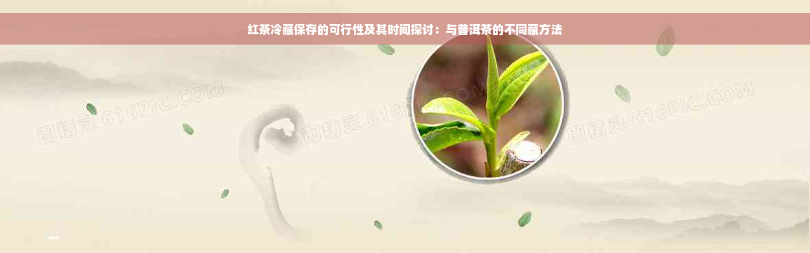 红茶冷藏保存的可行性及其时间探讨：与普洱茶的不同藏方法