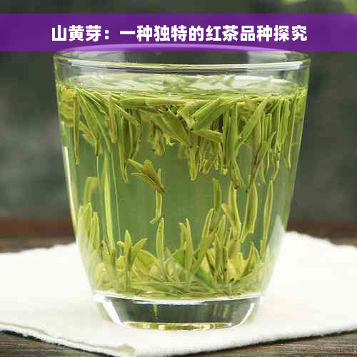 山黄芽：一种独特的红茶品种探究