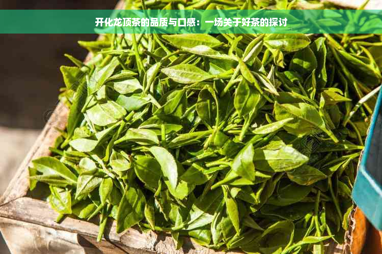 开化龙顶茶的品质与口感：一场关于好茶的探讨