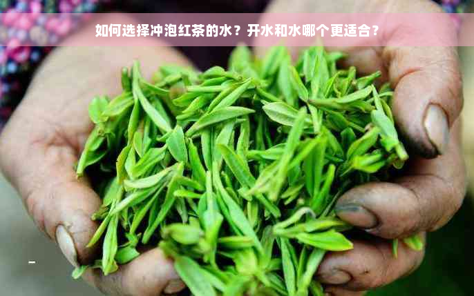 如何选择冲泡红茶的水？开水和水哪个更适合？