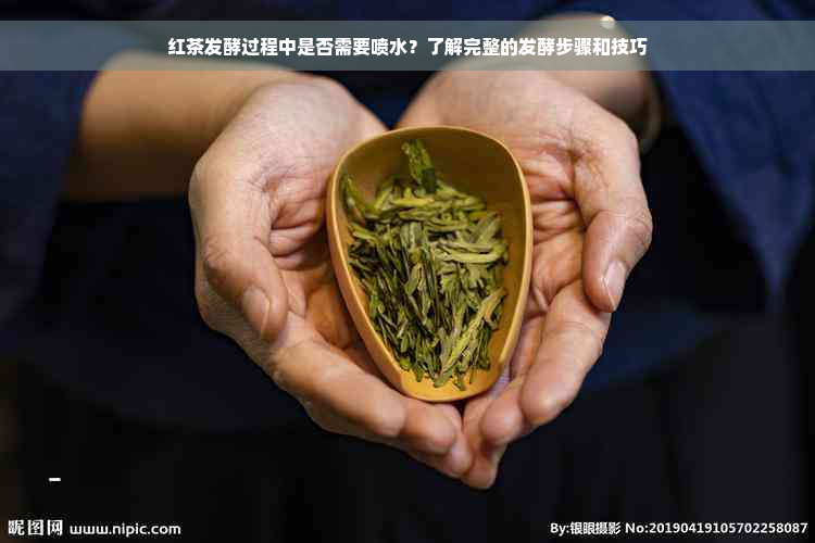 红茶发酵过程中是否需要喷水？了解完整的发酵步骤和技巧