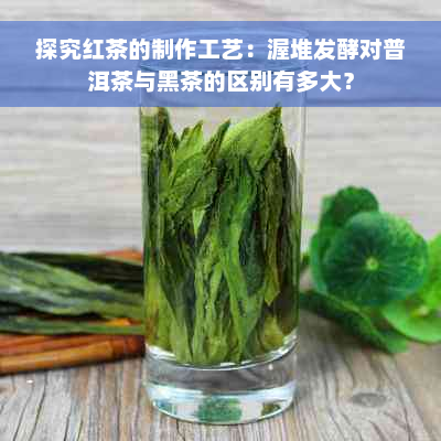 探究红茶的制作工艺：渥堆发酵对普洱茶与黑茶的区别有多大？