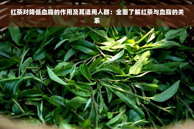 红茶对降低血脂的作用及其适用人群：全面了解红茶与血脂的关系