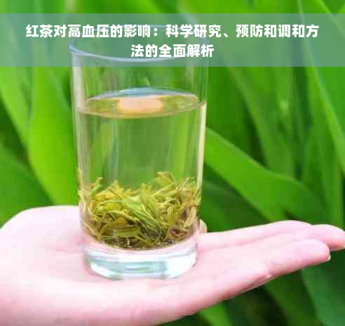 红茶对高血压的影响：科学研究、预防和调和方法的全面解析