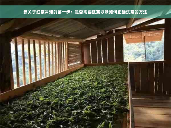 新关于红茶冲泡的之一步：是否需要洗茶以及如何正确洗茶的方法