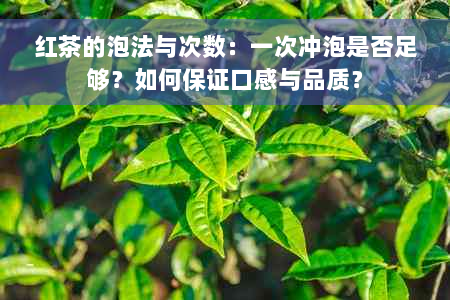 红茶的泡法与次数：一次冲泡是否足够？如何保证口感与品质？