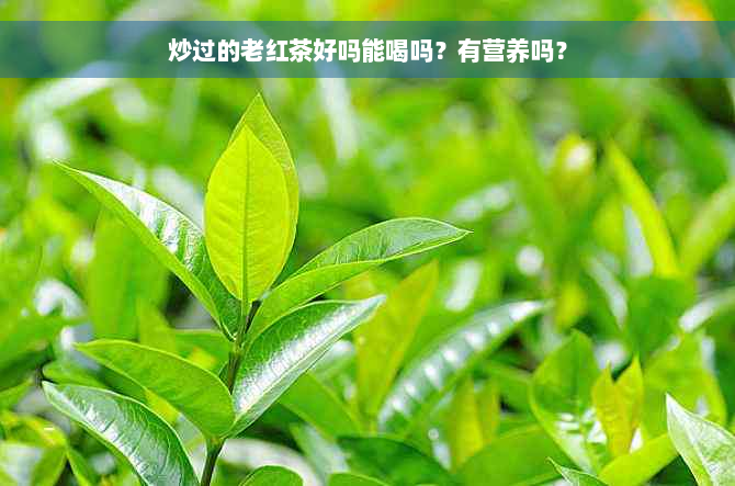 炒过的老红茶好吗能喝吗？有营养吗？